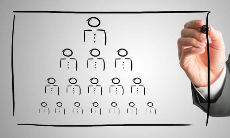 Featured: When to Create Senior MSL Roles