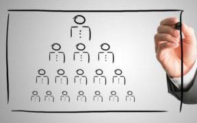 When to Create Senior MSL Roles